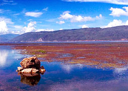 113077-00043_��������